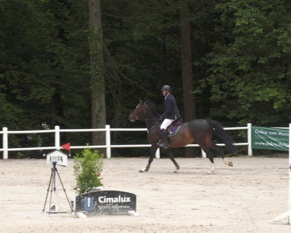 Reitturnier Losheim am See 2024