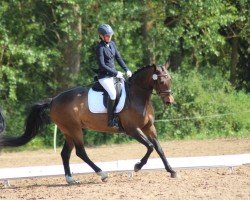 dressage horse Felicia (German Sport Horse, 2012, from French Affair O)