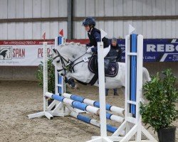 jumper Greenhills shy Logan (Welsh, 2015)