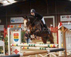 jumper Charmeur 375 (Hanoverian, 2002, from Cashman)