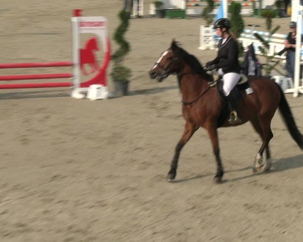 Reitturnier Kirchhellen/Stall Dieckmann 2024