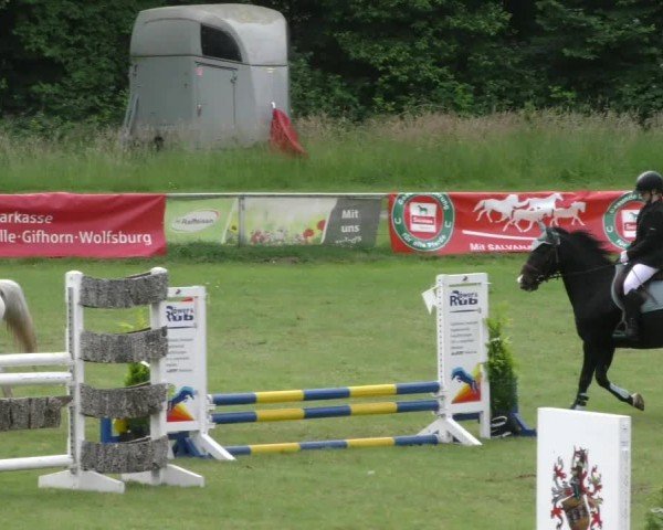 Reitturnier Wolfsburger Klassiker 2024
