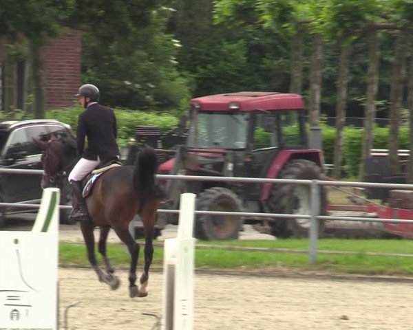 Reitturnier Langenfeld - Gut Langfort 2024