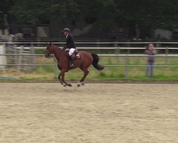 Reitturnier Langenfeld - Gut Langfort 2024