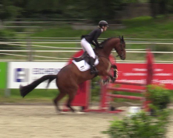 Reitturnier Langenfeld - Gut Langfort 2024