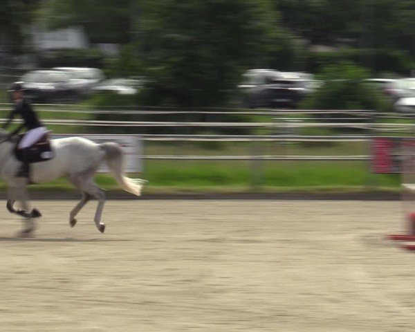 Reitturnier Langenfeld - Gut Langfort 2024
