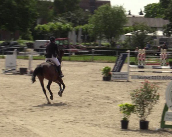 Reitturnier Langenfeld - Gut Langfort 2024