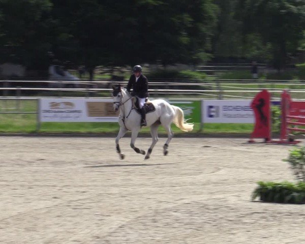 Reitturnier Langenfeld - Gut Langfort 2024