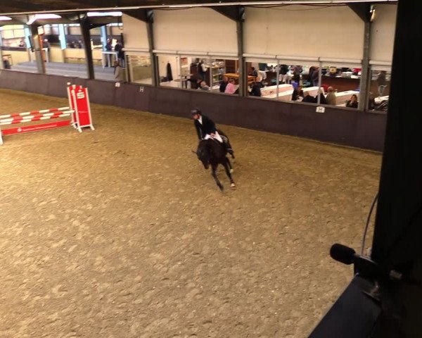 Reitturnier Legden 2021