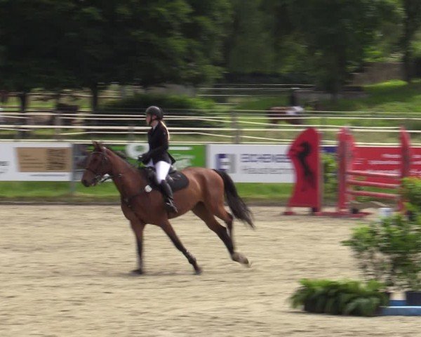 Reitturnier Langenfeld - Gut Langfort 2024