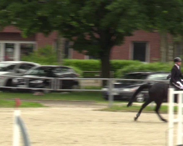 Reitturnier Langenfeld - Gut Langfort 2024