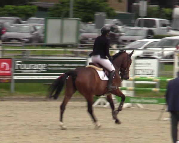 Reitturnier Langenfeld - Gut Langfort 2024