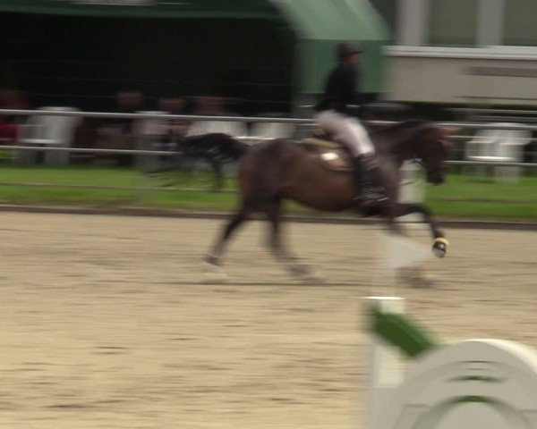 Reitturnier Langenfeld - Gut Langfort 2024