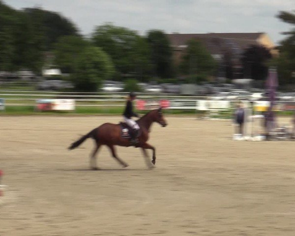 Reitturnier Langenfeld - Gut Langfort 2024