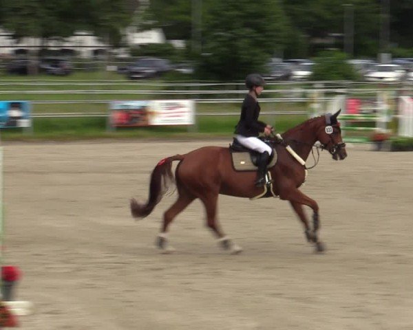 Reitturnier Langenfeld - Gut Langfort 2024