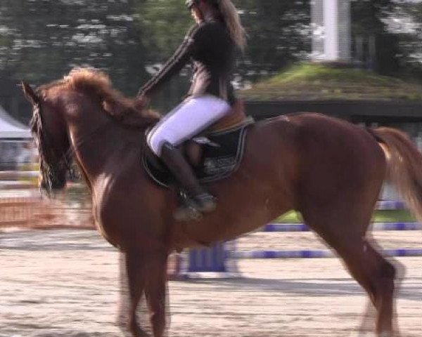 Datteln 2012