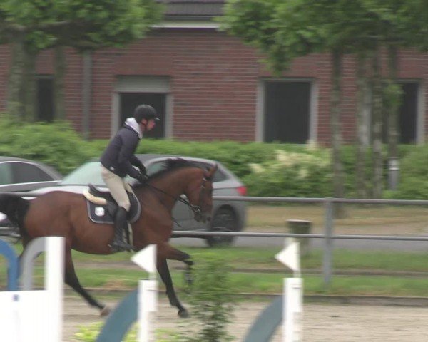 Reitturnier Langenfeld - Gut Langfort 2024