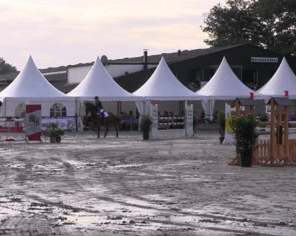 Datteln 2012