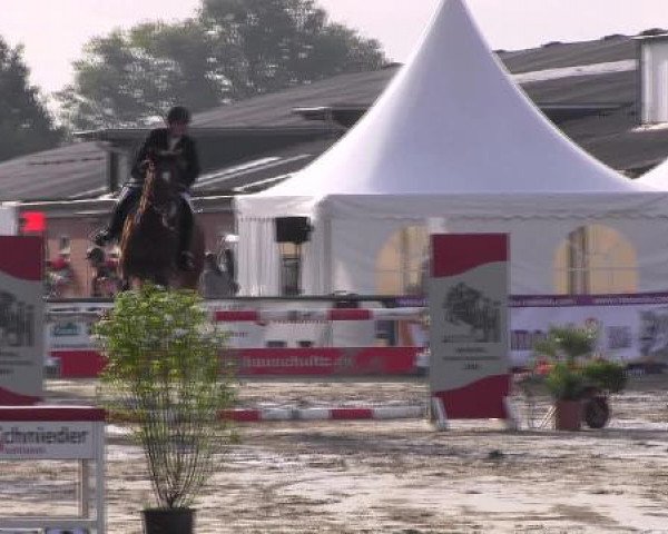 Datteln 2012