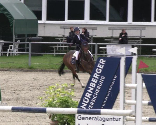 Reitturnier Langenfeld - Gut Langfort 2024