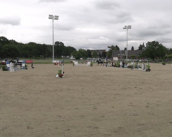 Reitturnier Langenfeld - Gut Langfort 2024