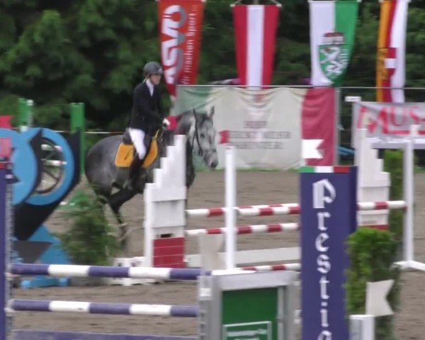 Reitturnier Tillmitsch 2023