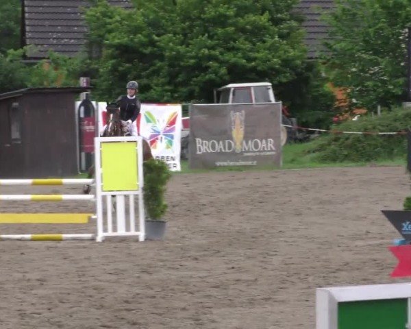 Reitturnier Tillmitsch 2023