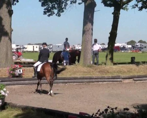 Datteln 2012