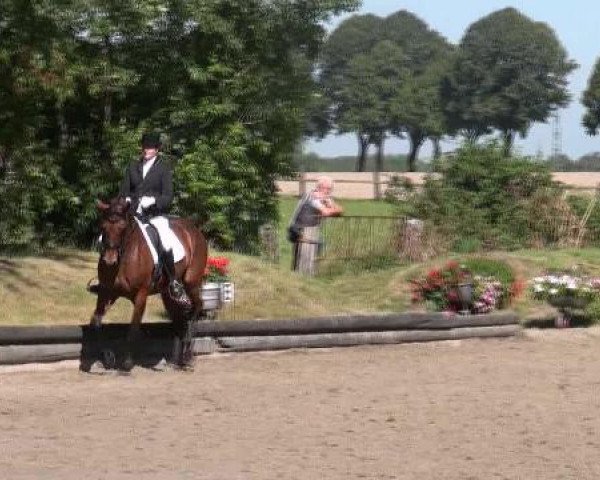 Datteln 2012