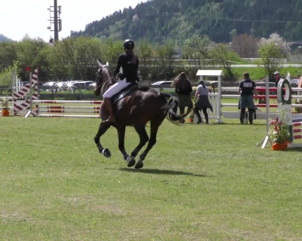 Reitturnier Friesach 2023