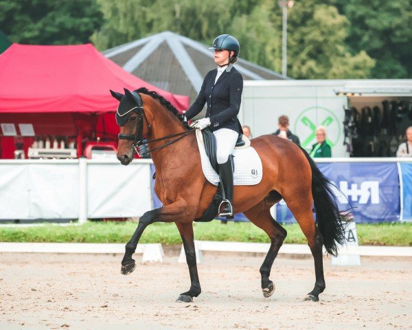 broodmare Nicolina 9 (Oldenburg, 2010, from Blue Hors Romanov) broodmare Nicolina 9 (Oldenburg, 2010, from Blue Hors Romanov)