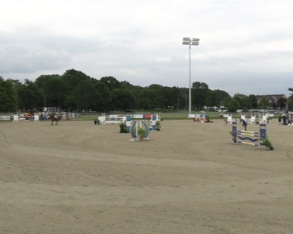 Reitturnier Langenfeld - Gut Langfort 2024