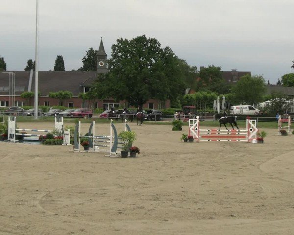 Reitturnier Langenfeld - Gut Langfort 2024