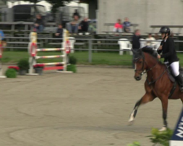Reitturnier Langenfeld - Gut Langfort 2024