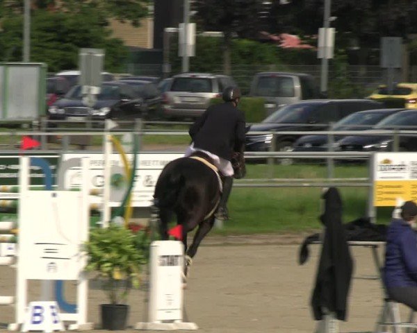Reitturnier Langenfeld - Gut Langfort 2024