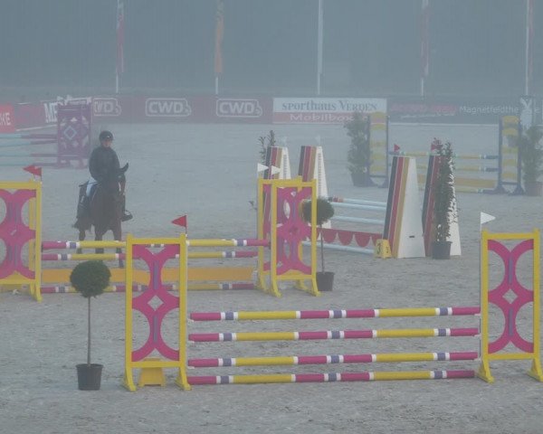 Reitturnier Westergellersen 2021