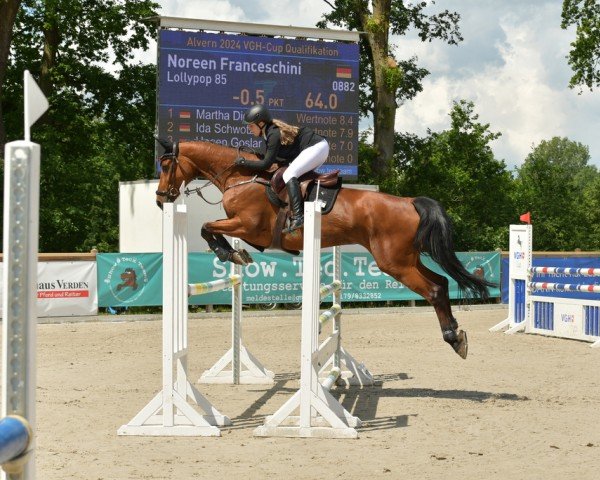 jumper Lollypop (KWPN (Royal Dutch Sporthorse), 2016, from Golddigger)