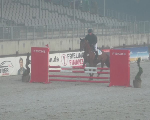 Reitturnier Westergellersen 2021