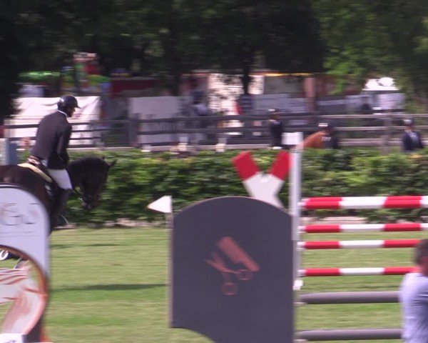 Reitturnier Ruhlsdorf 2024