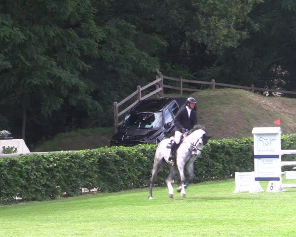 Reitturnier Ruhlsdorf 2024