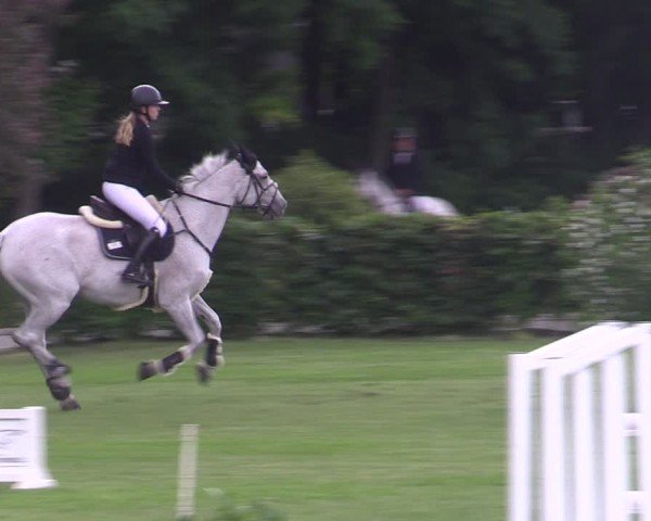 Reitturnier Ruhlsdorf 2024