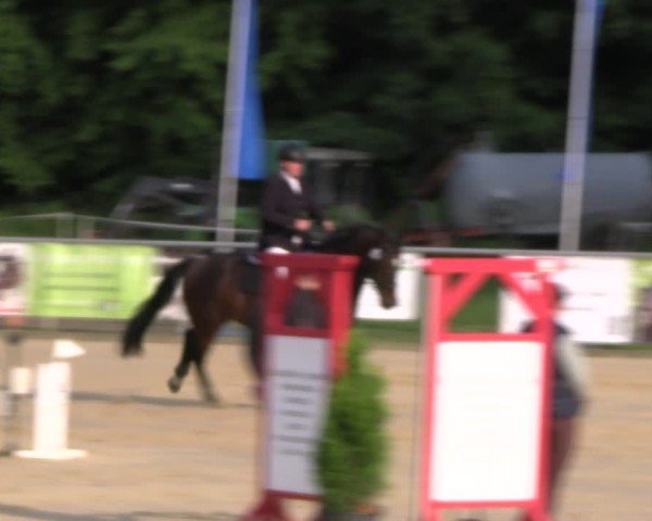 Reitturnier Oelde 2024