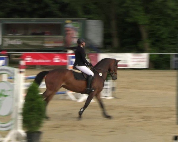 Reitturnier Oelde 2024