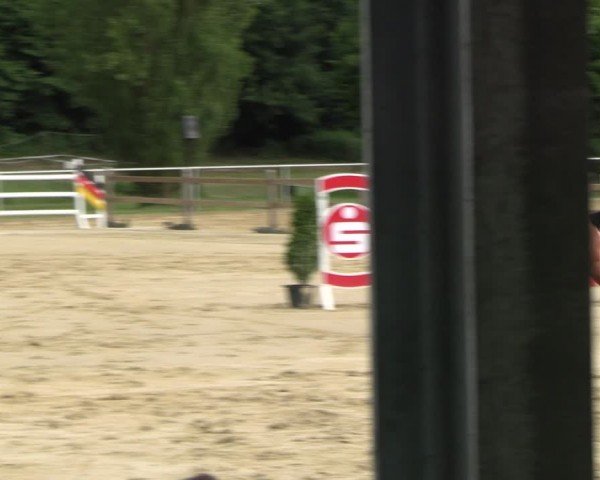 Reitturnier Oelde 2024