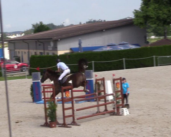 Reitturnier Fehraltorf 2024