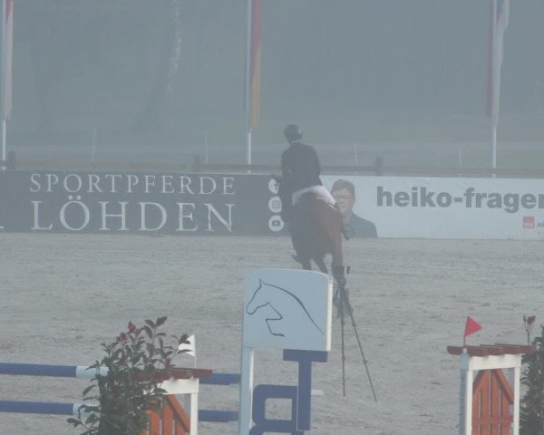 Reitturnier Westergellersen 2021