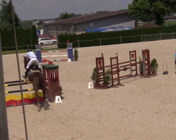 Reitturnier Fehraltorf 2024