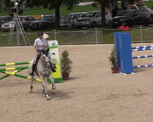 Reitturnier Fehraltorf 2024