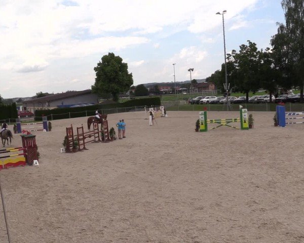 Reitturnier Fehraltorf 2024