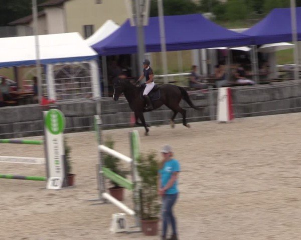 Reitturnier Fehraltorf 2024